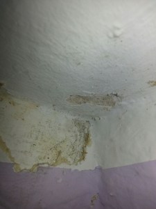 1362515075871 Schimmel