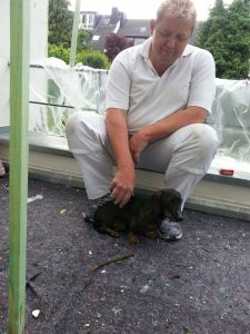 292521_461928953892065_1180032740_n