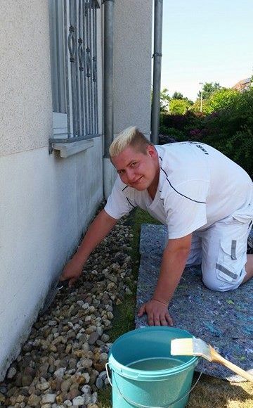 Algen und Mossbefall vorbeugen